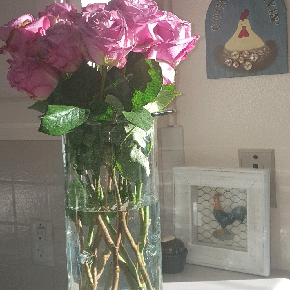 Meet your Posher, Nancy